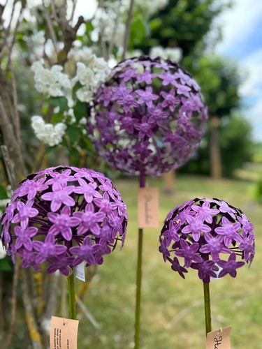 Exner gartenstecker allium - exner,